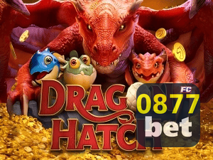 0877BET PIX instantâneo Brasil - Depósito e saque em minutos 24/7
